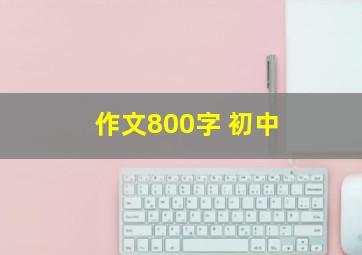 作文800字 初中